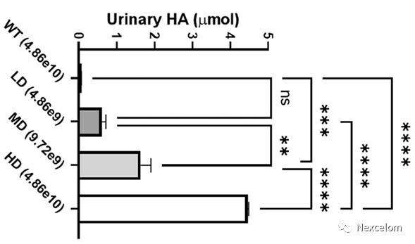 你的细胞计数仪也可以数细菌吗? - 上海赛尔迈生命科技有限公司